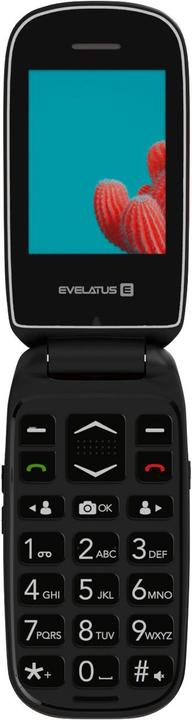 Immagine prodotto Evelatus WAVE 2020 DS EW02RD (2.40", 0.30 Mpx)