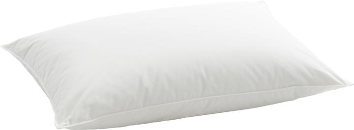 Produktbild Billerbeck Organic Goose Soft (65 x 65 cm)