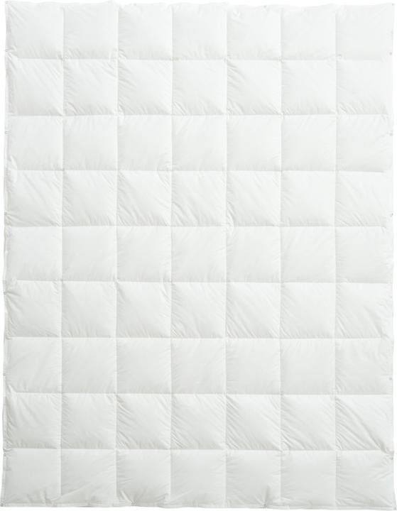 Produktbild Billerbeck Organic Goose 4-Saisons (450 g, 160 x 210 cm)