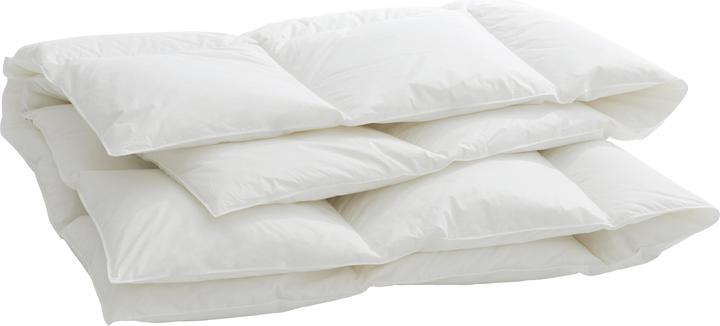 Actual product image Billerbeck Organic Goose Cosy (1290 g, 240 x 240 cm)