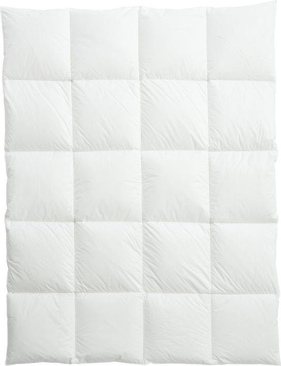 Actual product image Billerbeck Organic Goose Cosy (1290 g, 240 x 240 cm)