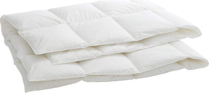 Produktbild Billerbeck Organic Goose Medium (600 g, 160 x 210 cm)