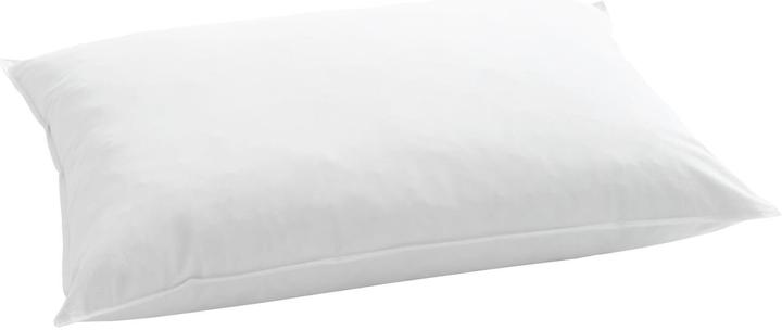 Produktbild Billerbeck Iglu (65 x 100 cm)