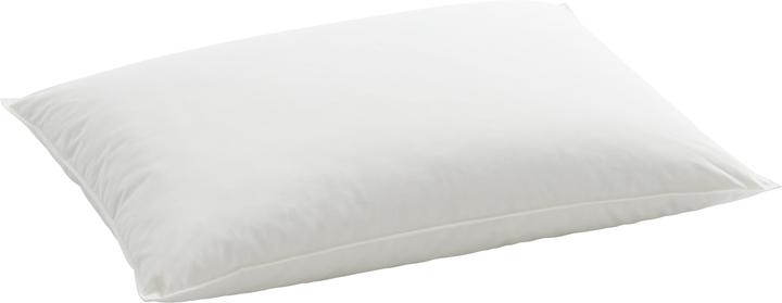 Image du produit Billerbeck Organic Goose Medium (50 x 70 cm)