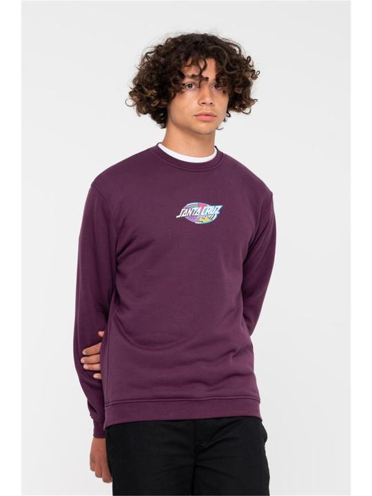 Immagine prodotto Santa Cruz Strange Oval Strip Crew (S)