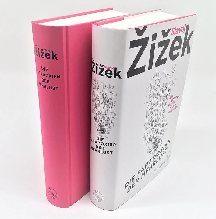 Produktbild Die Paradoxien der Mehrlust (Deutsch, Slavoj Žižek, Frank Born, Axel Walter, 2023)