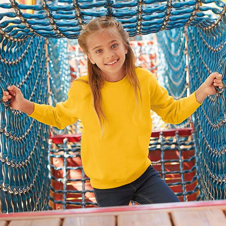 Image du produit Fruit of the Loom Pull-over Classique 8020 (146)
