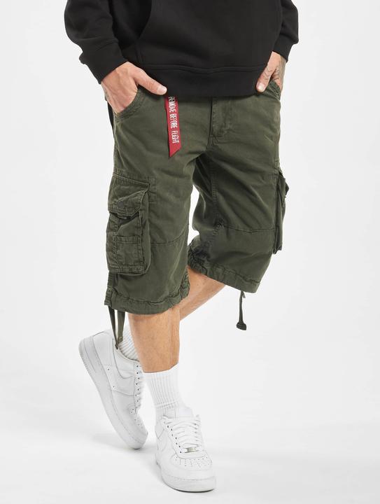 Actual product image Alpha Industries Jet Shorts - 81739 (Frequency band 38 (2600 MHz))