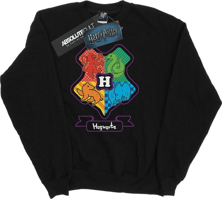 Hogwarts Junior Crest Sweatshirt Jungen