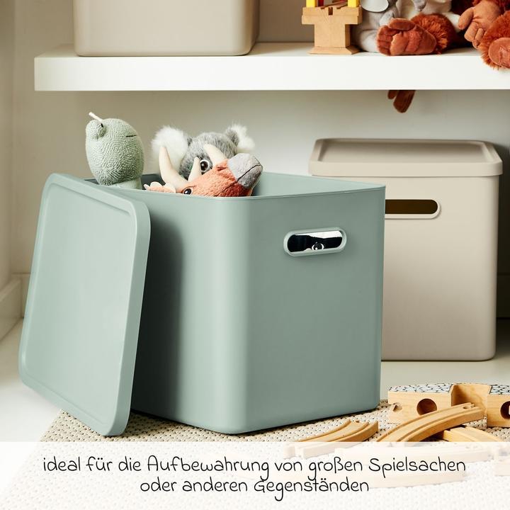 Actual product image Rotho Babydesign Spielzeugbox KAYO L Sage Green