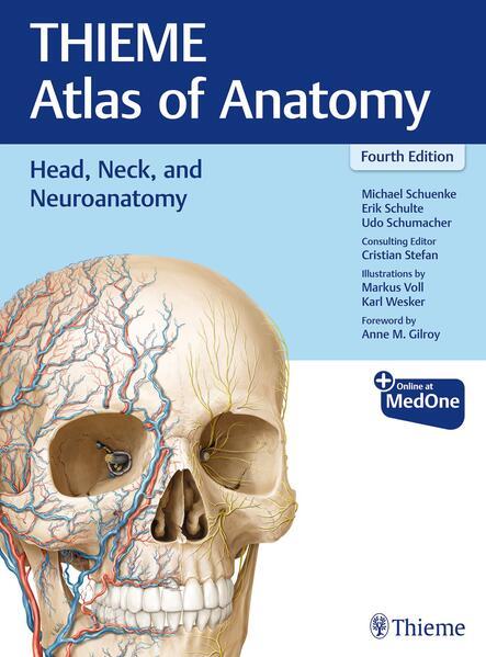 Actual product image Head, Neck, and Neuroanatomy (THIEME Atlas of Anatomy) (English, Udo Schumacher, Michael Schuenke, Erik Schulte, Cristian Stefan, 2025)