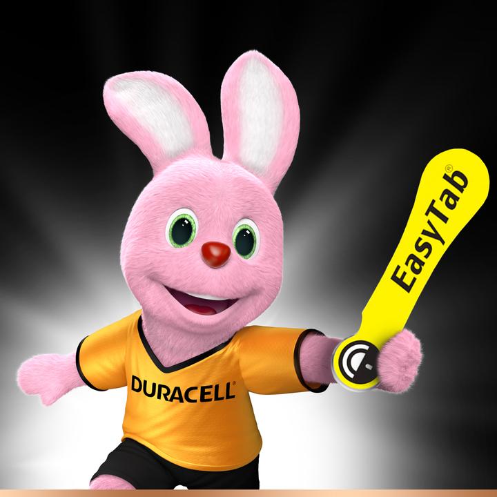 Immagine prodotto Duracell Scheda elettronica facile (6 pz., PR70, 90 mAh)