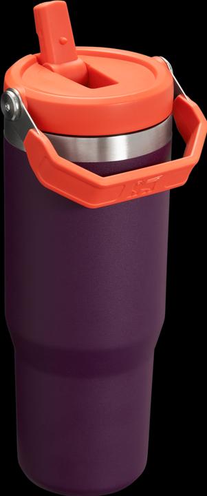 Immagine prodotto Stanley 1913 IceFlow (0.89 l)