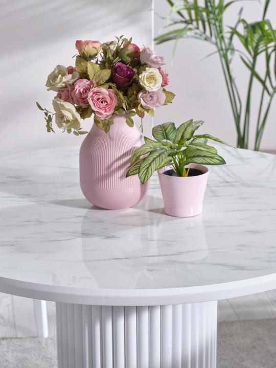 Actual product image Homitis Aqua (100 x 75 x 100 cm)