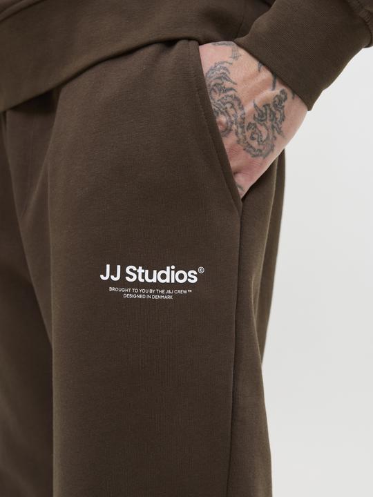 Actual product image Jack & Jones Regular Fit Relaxed Fit Hosen Relaxed Fit Hosen (XXL)