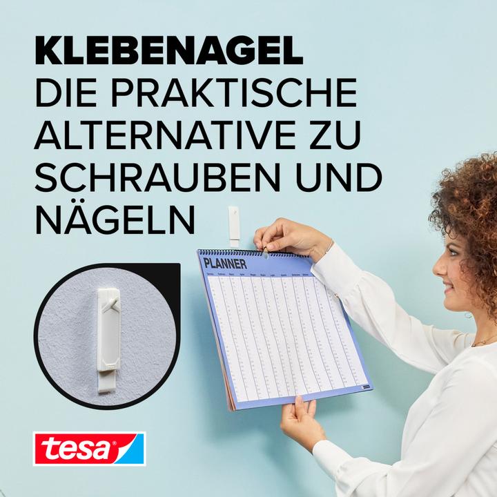 Image du produit tesa Clou adhésif pour papier peint & plâtre, 1kg de tenue, détachable sans trace & réutilisable, 2 clous