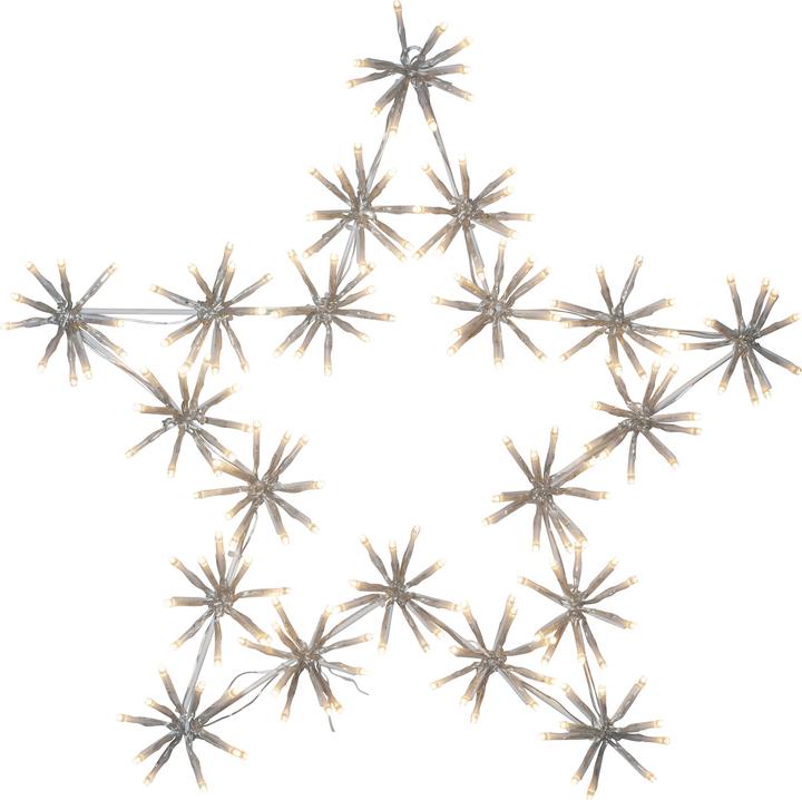 Étoile Silhouette Fleur
