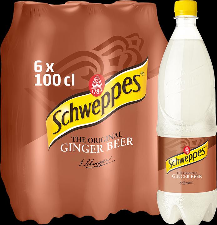 Actual product image Schweppes Ginger Beer (6 x 100 cl)