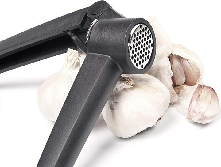 Actual product image Kisag Garlic Press