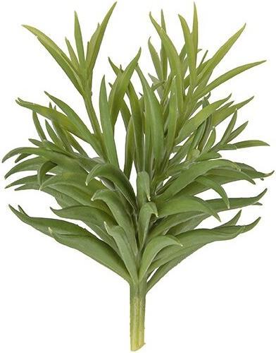 present time Succelent Stem (13.30 cm)