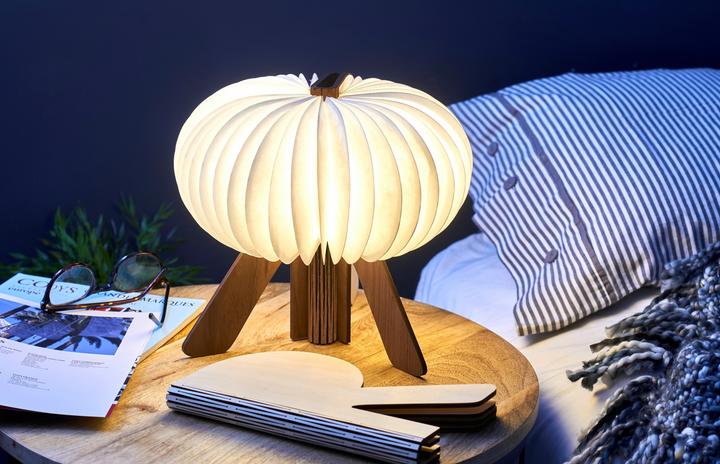 Actual product image Gingko The R Space Lamp