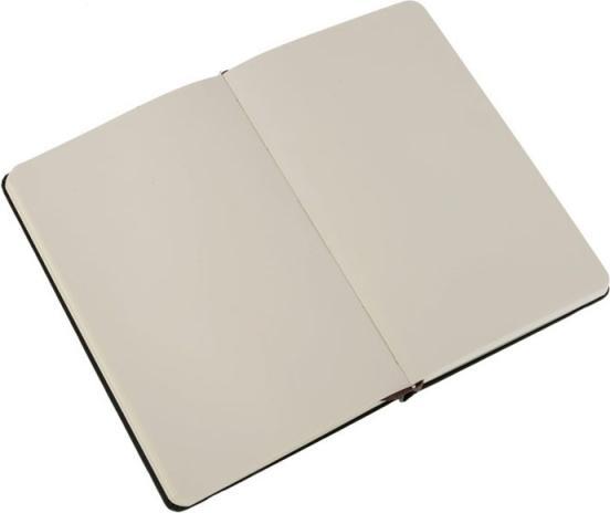 Actual product image Moleskine Classic Large (A5, Plain, Hardcover)