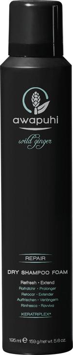 Paul Mitchell Mousse de shampooing sec au gingembre sauvage Awapuhi (195 ml, Shampoing liquide)
