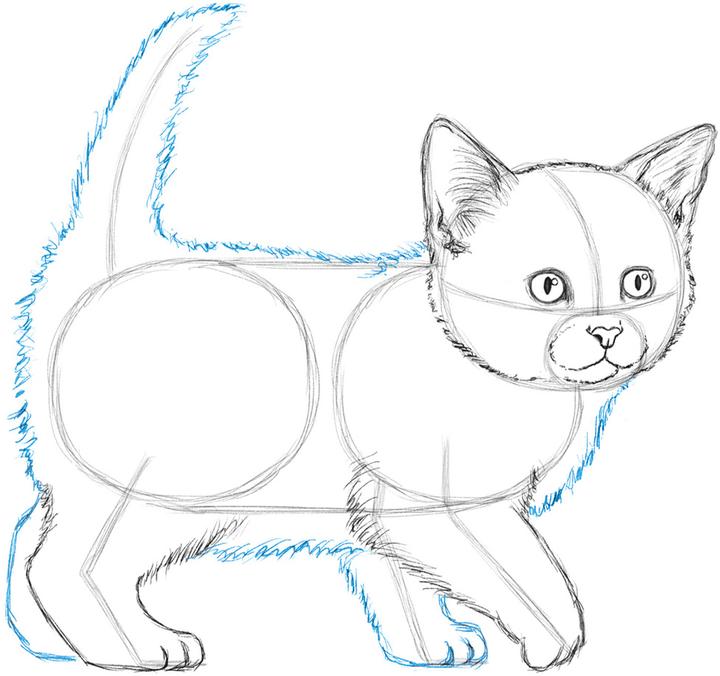Produktbild Die Kunst des Zeichnens für Kinder - Ich zeichne Katzen