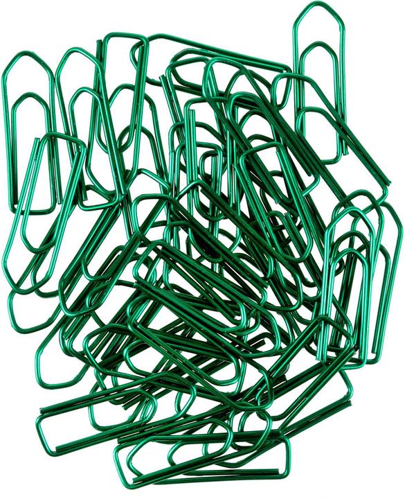 Actual product image Omega Paperclips (100 x)