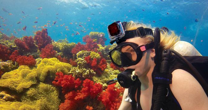 Produktbild GoPro Roter Tauchfilter passend für Tauch- und Armbandgehäuse (Armbandgehäuse, Tauchgehäuse)