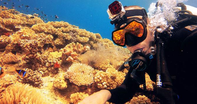 Produktbild GoPro Roter Tauchfilter passend für Tauch- und Armbandgehäuse (Armbandgehäuse, Tauchgehäuse)