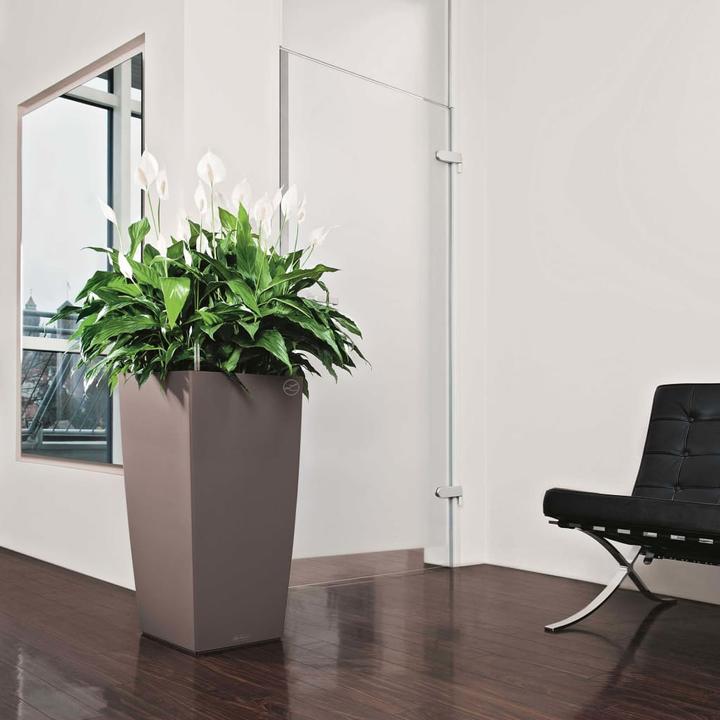 Actual product image Lechuza Cubico Color (39.50 cm)