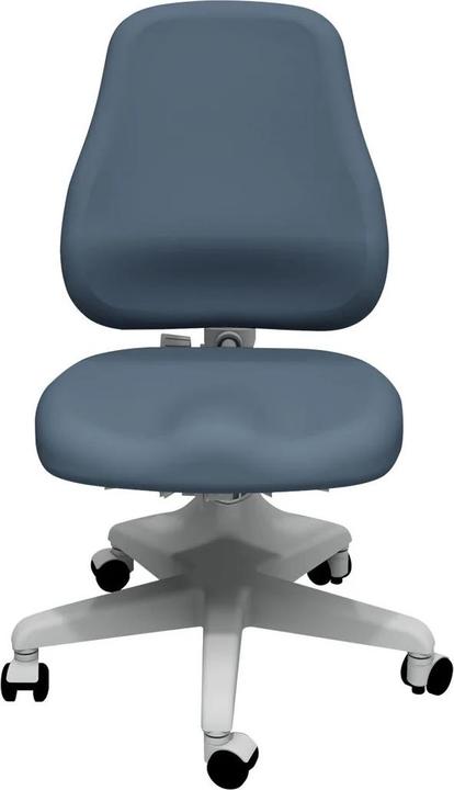 Flexa Chair Verto Frosty