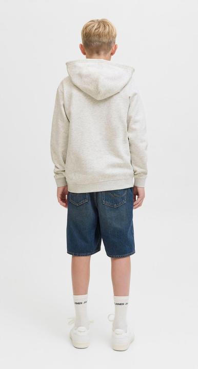 Actual product image Jack & Jones Kapuzenpullover Junior Kapuzenpullover (140)