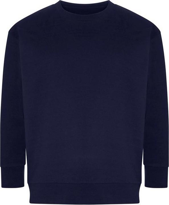 Produktbild Awdis Crater Sweatshirt recyceltes Material (S)