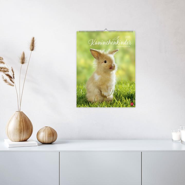 Image du produit Kaninchenkinder Posterkalender 2026 (34 x 44 cm, Couverture rigide, Allemand)