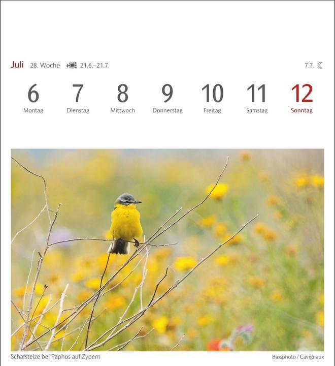 Produktbild Harenberg Farben der Natur Postkartenkalender 2026 - Wochenkalender mit 53 Postkarten (Harter Einband, Deutsch)