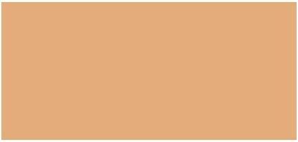 Actual product image Clinique Even Better Clinical Vitamin Makeup SPF 50 (2, Medium Cool)