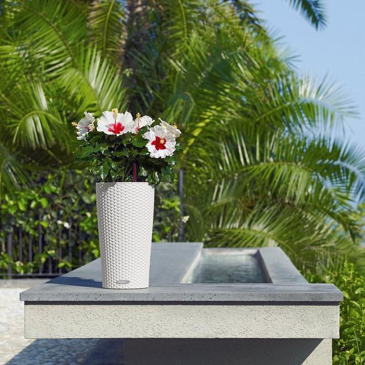 Actual product image Lechuza CILINDRO Cottage 23 (23 cm)