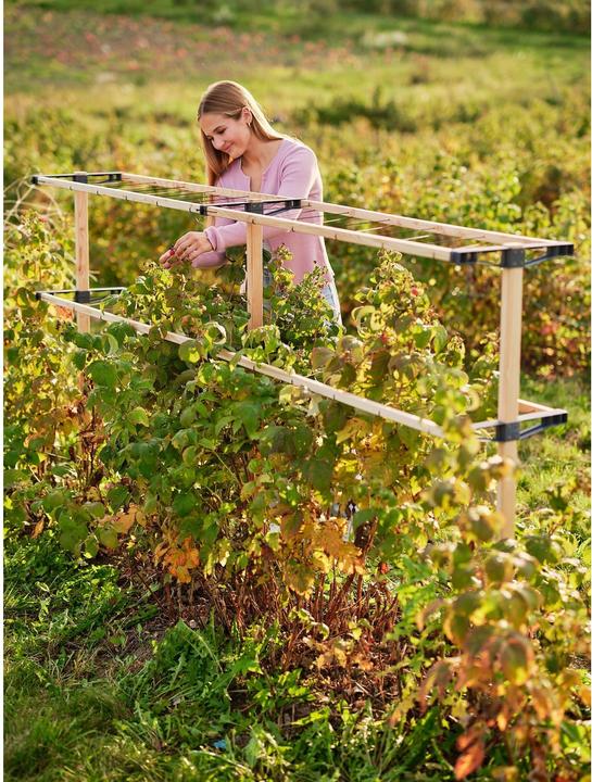 Image du produit Gusta Garden Berry Buddy (120 cm, 34.50 cm)