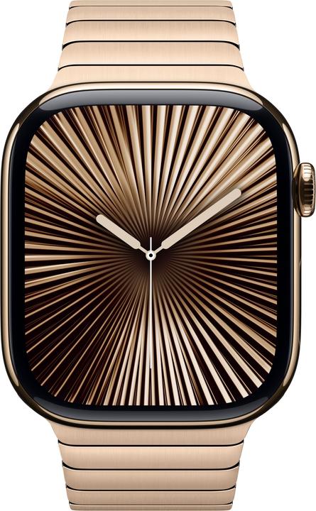 Produktbild Apple Link Bracelet (46 mm, Edelstahl)