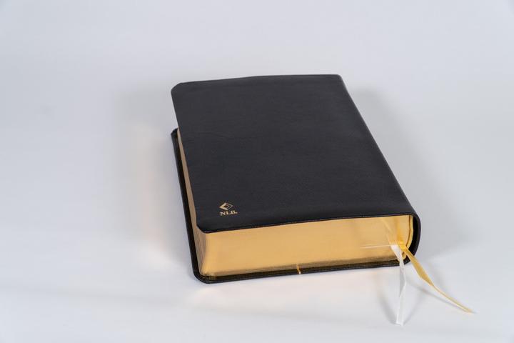 Actual product image Neues Leben. Die Bibel, Standardausgabe, Leder mit Goldschnitt (German, 2025)