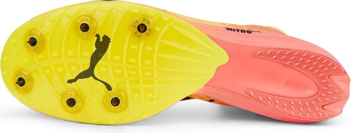 Actual product image Puma evoSPEED Distance Nitro Elit (42)