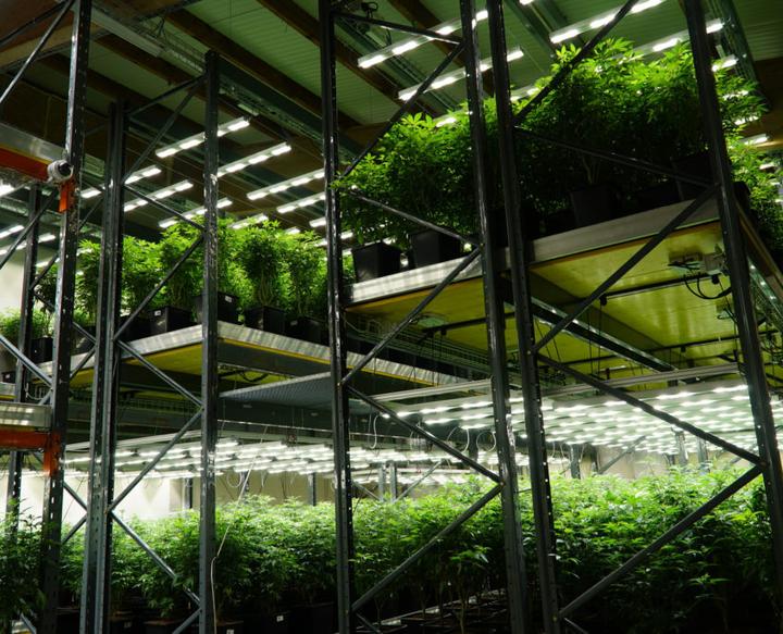 Produktbild Sanlight LED Leuchte S4W von