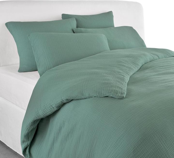 Eucalyptus green