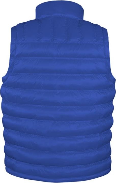 Actual product image Regatta Ice Bird quilted bodywarmer (M)