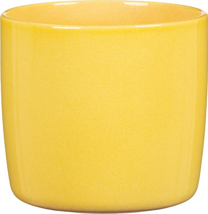 Produktbild Scheurich Solido (18 cm)