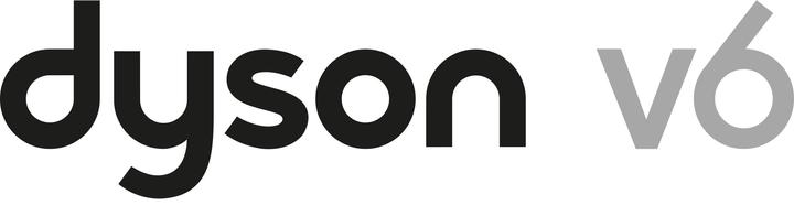 Actual product image Dyson V6