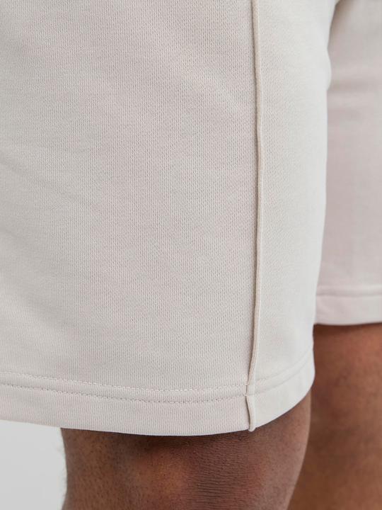 Actual product image Jack & Jones Plus Size Loose Fit Sweat-Shorts Sweat-Shorts (42)