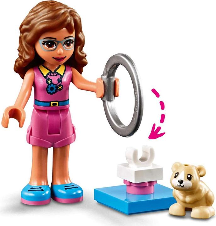 Produktbild LEGO Olivias Hamster-Spielplatz (41383, LEGO Friends)